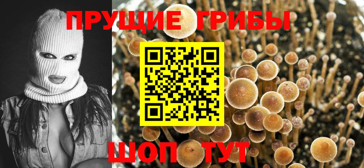 Псилоцибиновые грибы Magic Shrooms Лобня